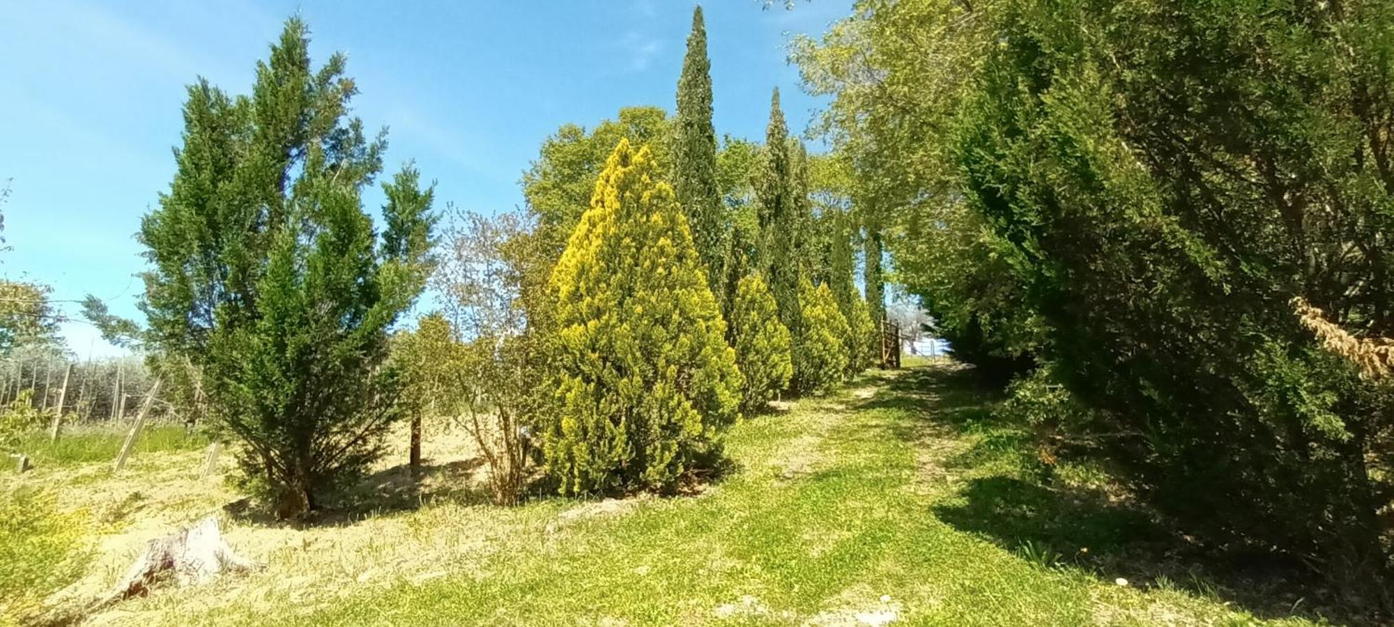 Casa In Maremma Apartment Монтемерано Екстериор снимка