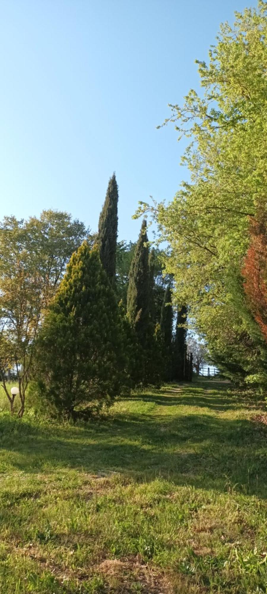 Casa In Maremma Apartment Монтемерано Екстериор снимка