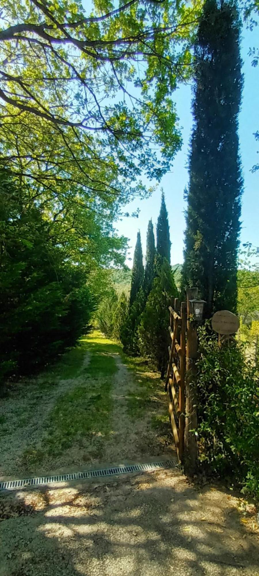 Casa In Maremma Apartment Монтемерано Екстериор снимка