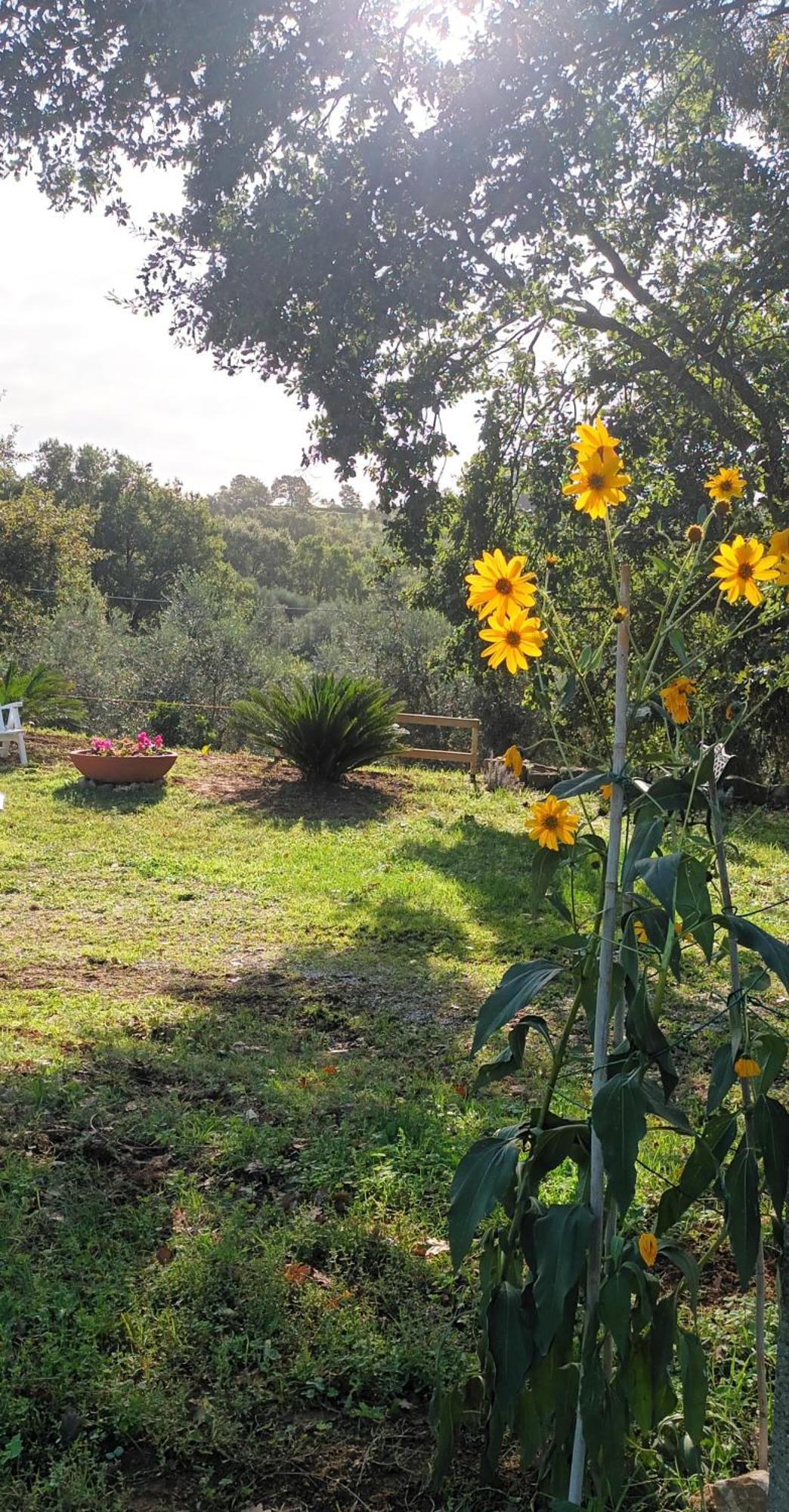 Casa In Maremma Apartment Монтемерано Екстериор снимка
